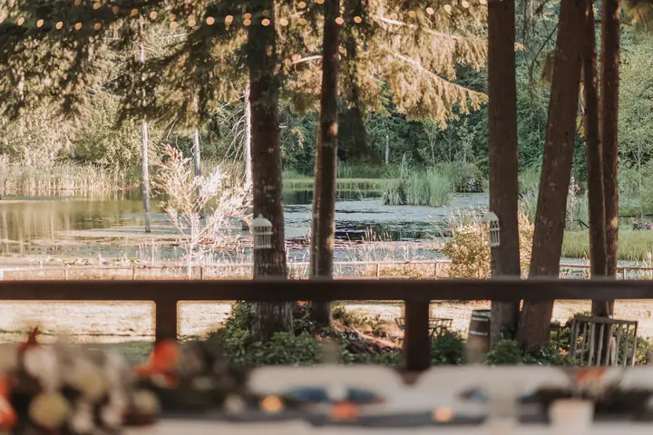 The lake through the trees, under string lights