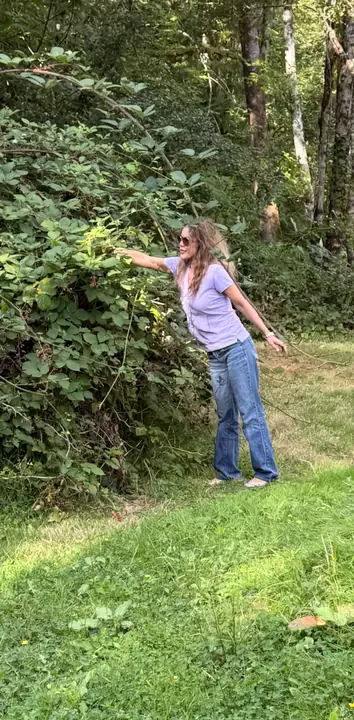 Blackberry picking in late August