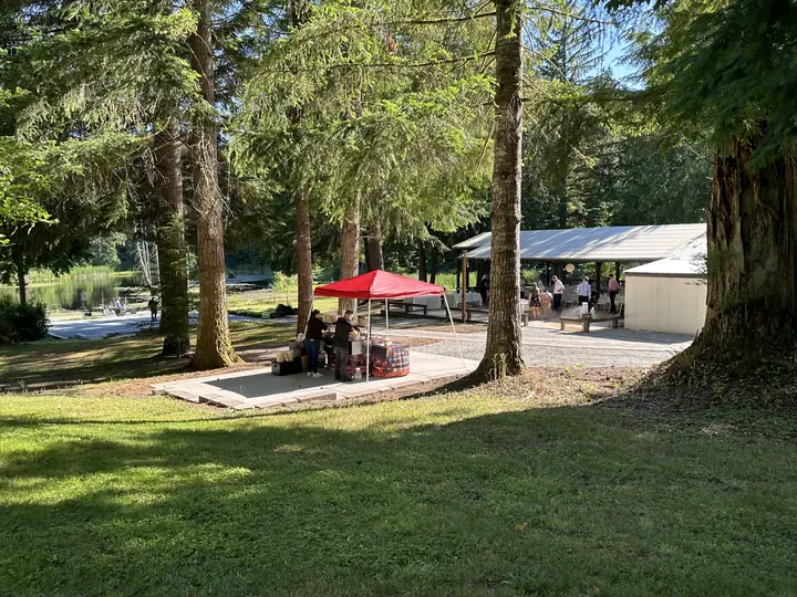 A summer event under the cedars: guests gather at the covered patio, with the lake beyond